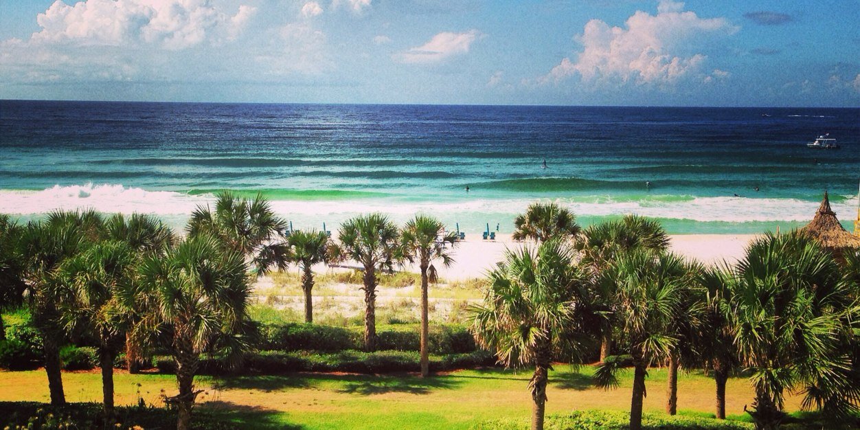 Nicholas Archer banner