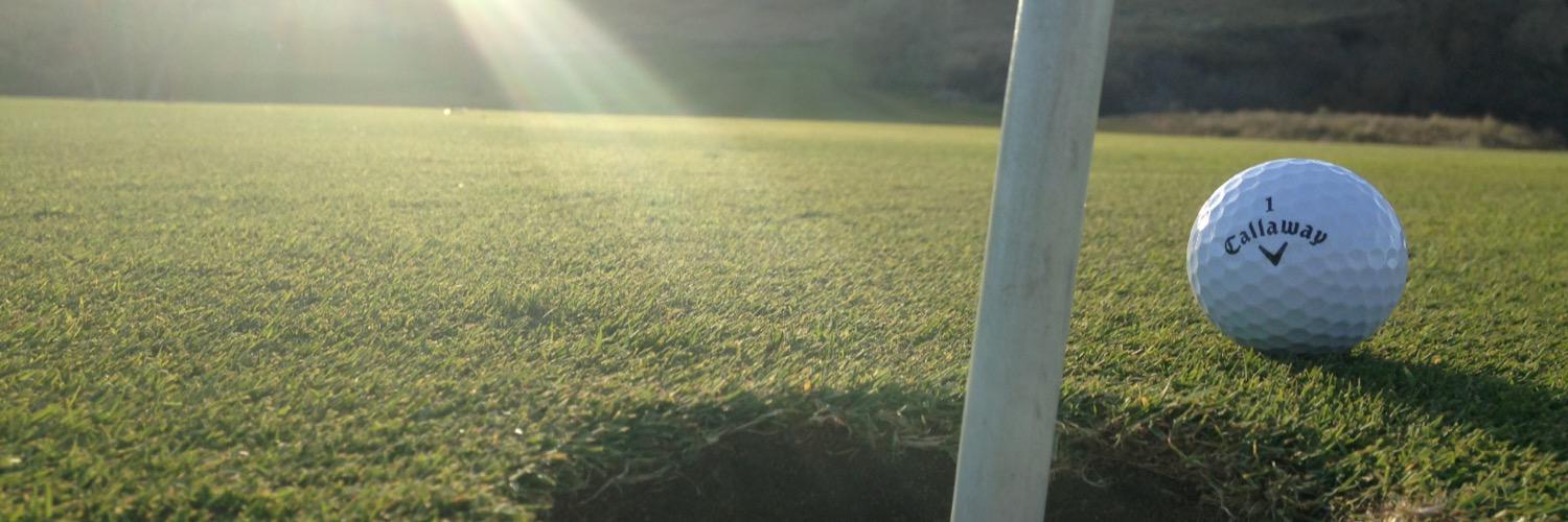lespostnikoff's profile banner image