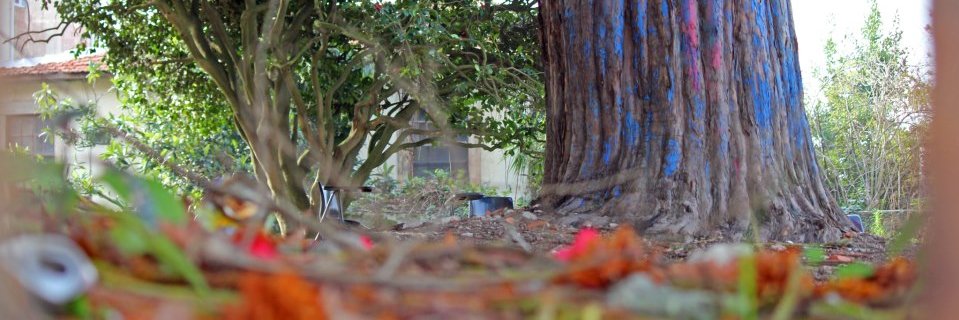 anasofiafig's profile banner image
