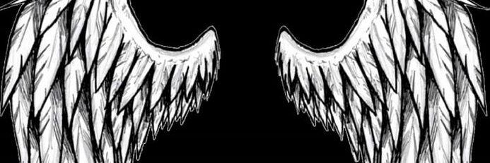 Sau Riff banner
