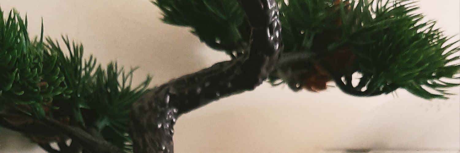 Sibrhaa's profile banner image