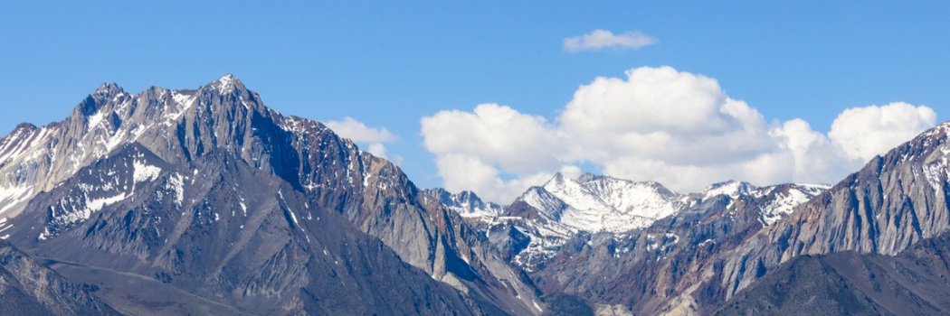 Tya Mathis-Coleman banner