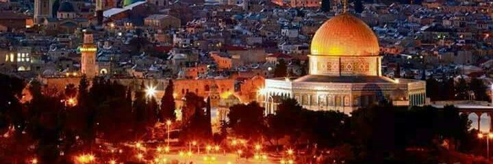 aboumuhammad67's profile banner image