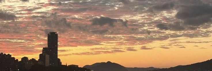 pican⋆˙ banner