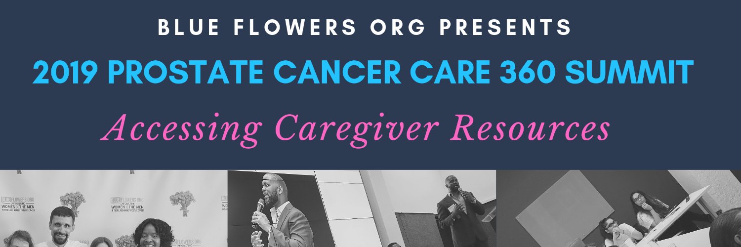 blueflowersorg's profile banner image