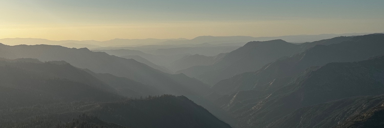 software archæologist banner