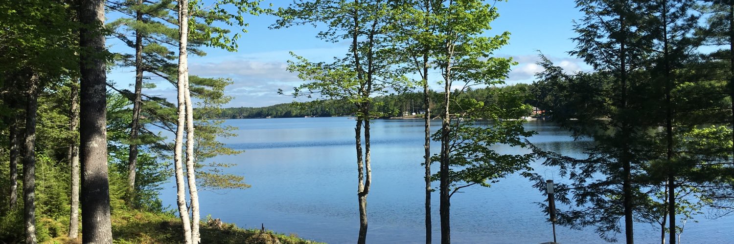 Stephanie Lea banner