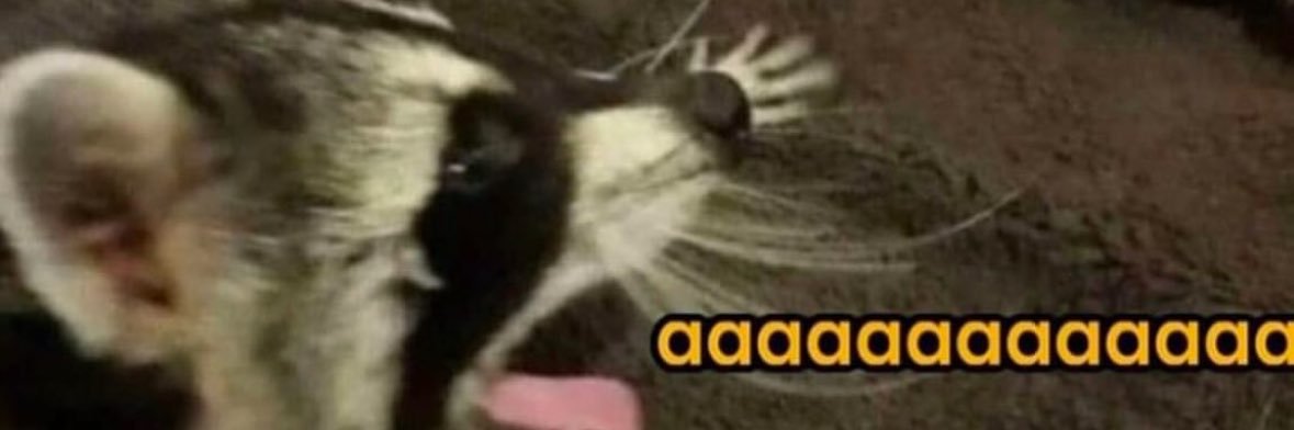 abis_barp's profile banner image
