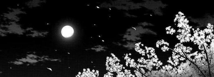 lillyluuna96's profile banner image