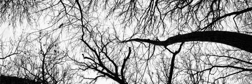SebastianP_XER's profile banner image
