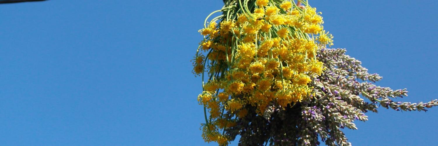 ok, i'll byte banner