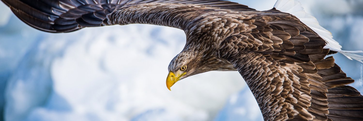 Jacek Slaby prawica banner