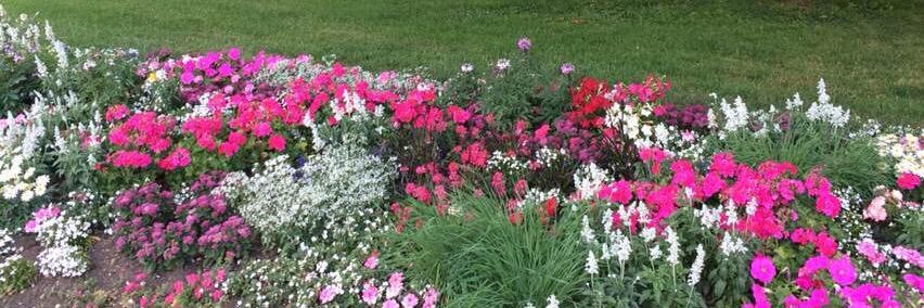 حسين بن مريع أبودبيل banner