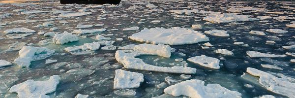 TidalVision Profile Banner