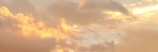Stiv banner