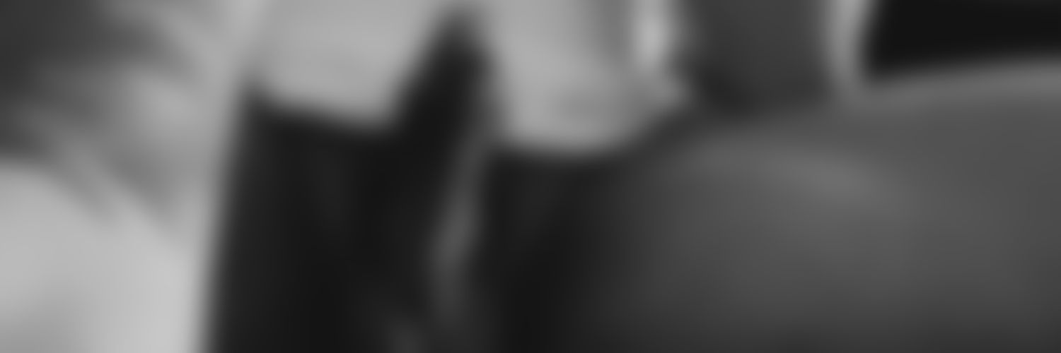 NotSaitamaPunch's profile banner image