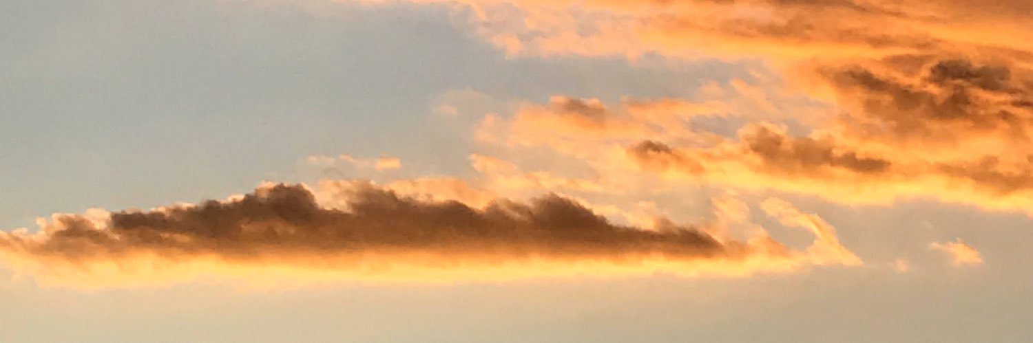 simpsmari's profile banner image