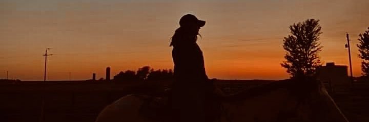 Gabbimoss3's profile banner image