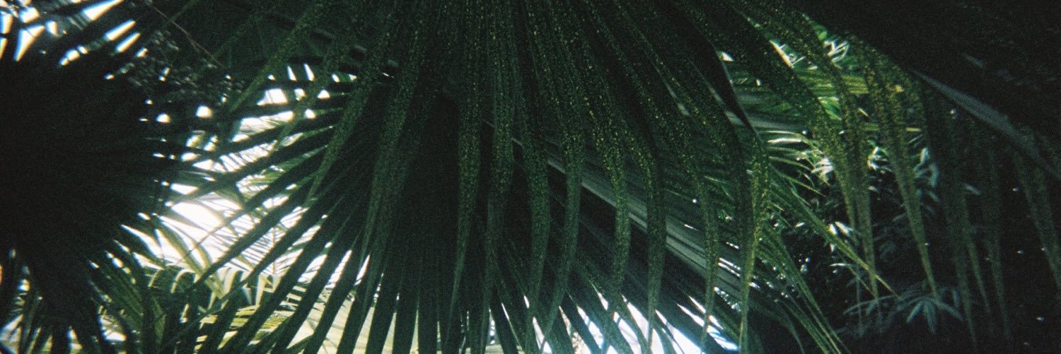 akdpn's profile banner image