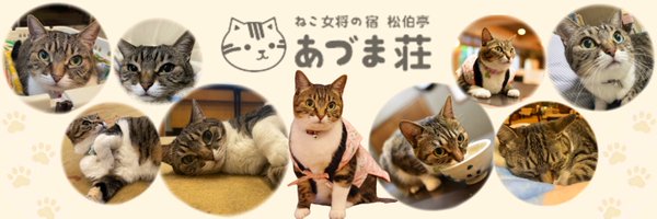 ねこ女将まいちゃん【松伯亭あづま荘】 Profile Banner