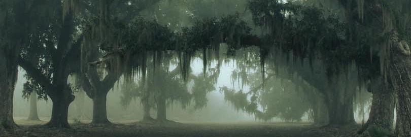 NolaLemons's profile banner image