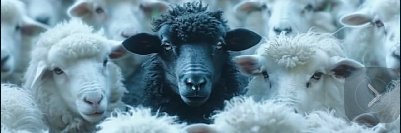 Coach 1️⃣2️⃣ banner