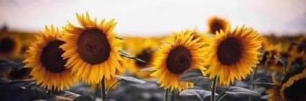 4eVeR_HiS09's profile banner image