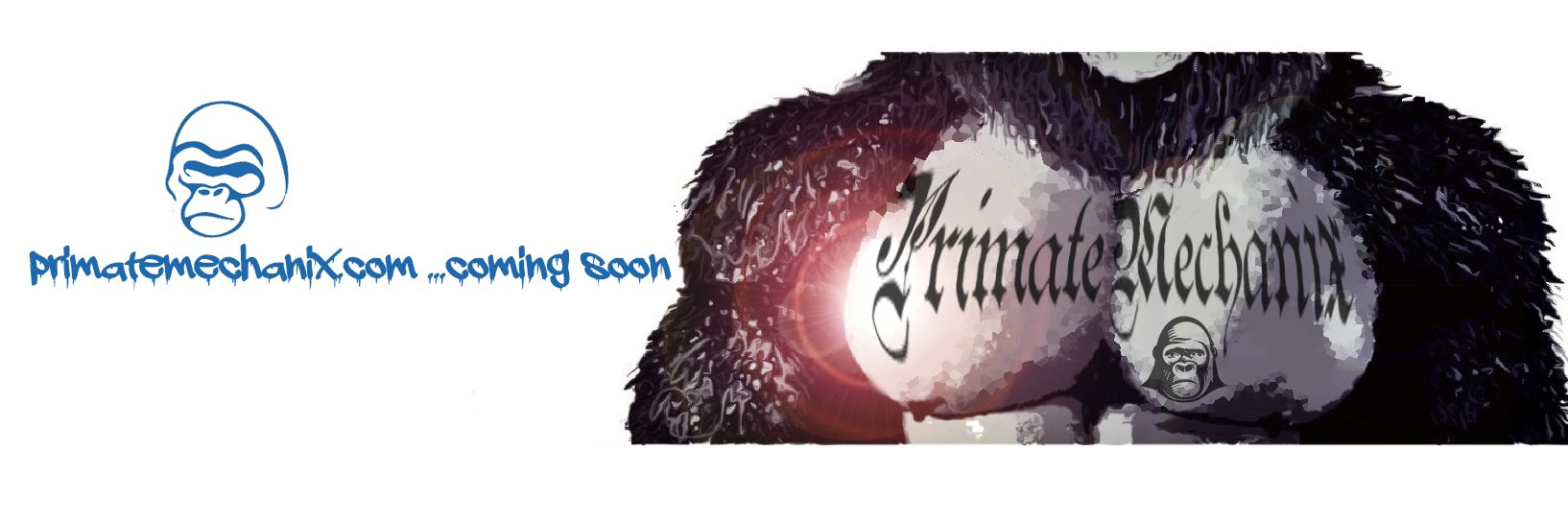 PrimateMechanix's profile banner image