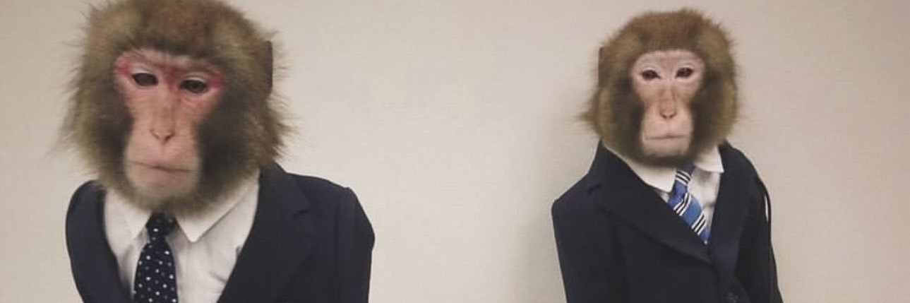 Konasubo's profile banner image