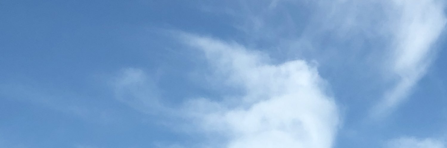 nancy_unger's profile banner image