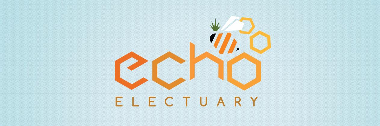 EchoElectuary's profile banner image