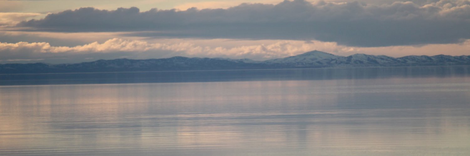 mollsmorris's profile banner image