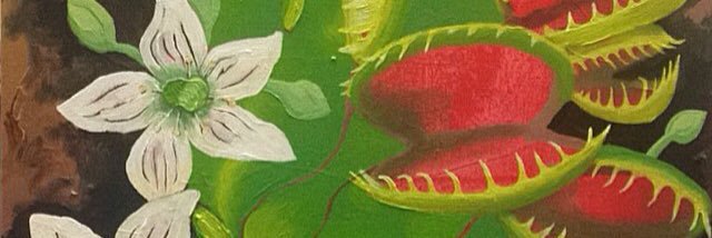 crusadeonacid's profile banner image