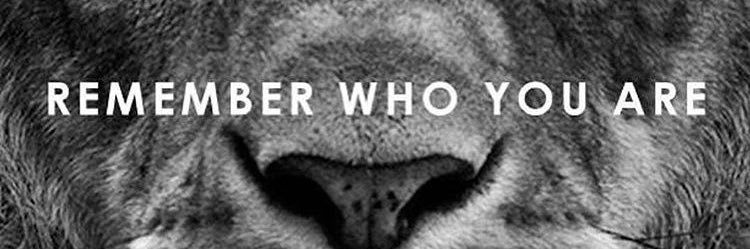 SSGxSILVERBACK's profile banner image