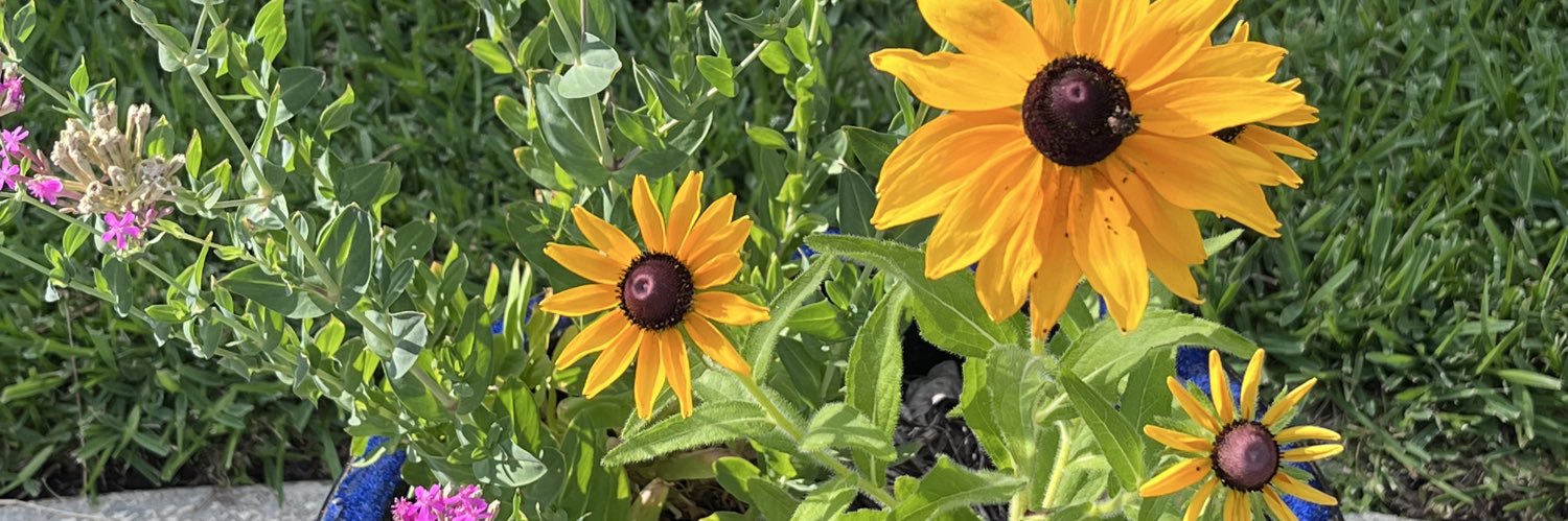 Dallas Gal🇺🇸🇸🇪🇵🇷🤘🏻🖖🌱🐶🐈🐾 banner