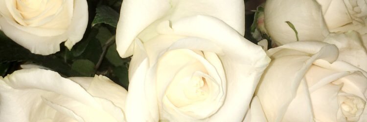 lcmaywald's profile banner image