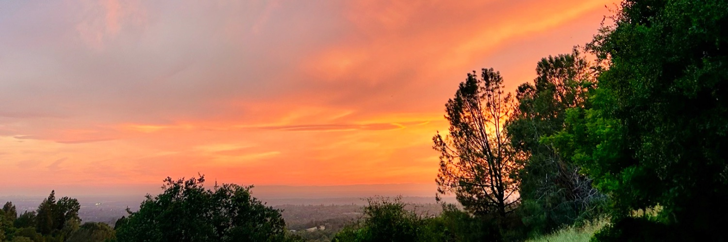 annetteudall's profile banner image
