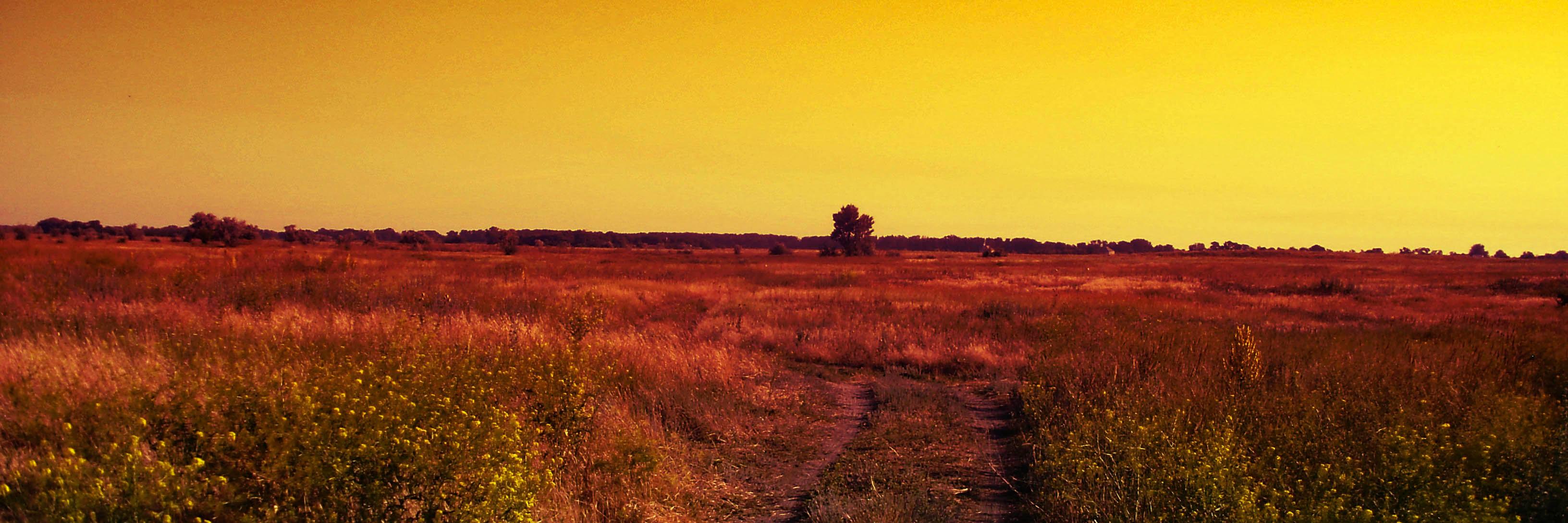 Olena7585's profile banner image