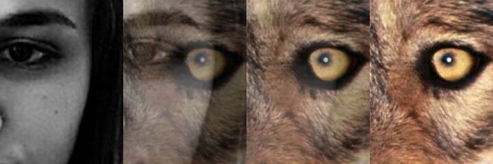 Merve657M's profile banner image