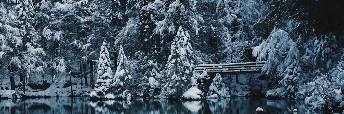 MarshallMarcian's profile banner image