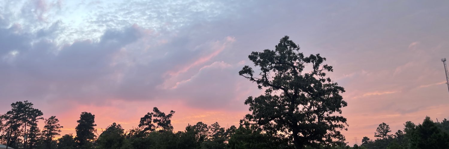 teganraimi's profile banner image