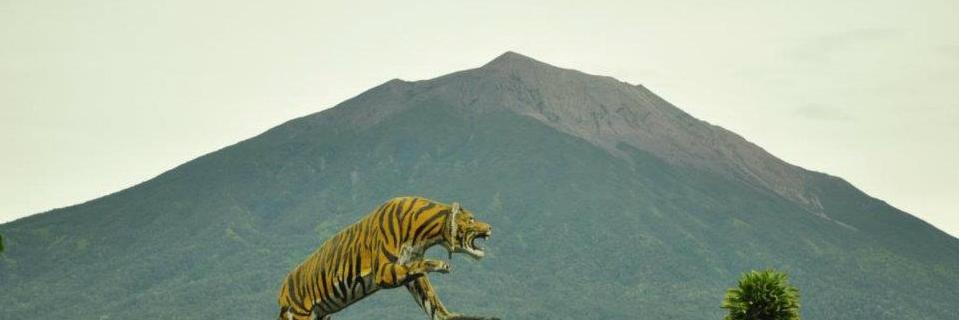 aldober95's profile banner image