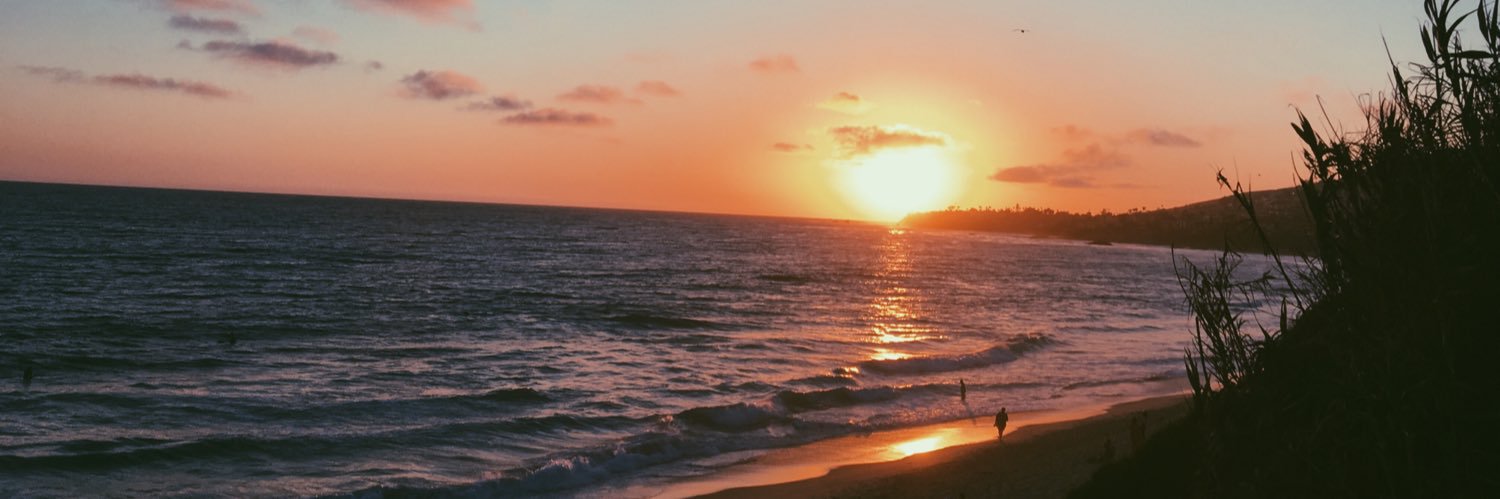 gracecoelho7's profile banner image