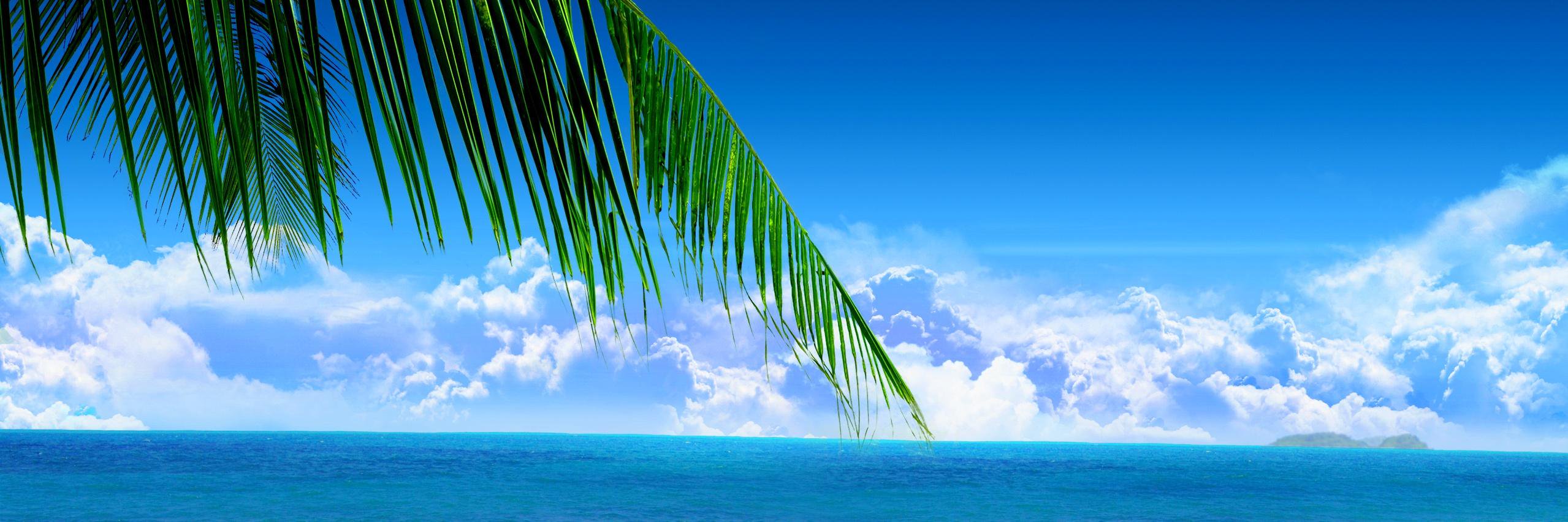 The_H77's profile banner image