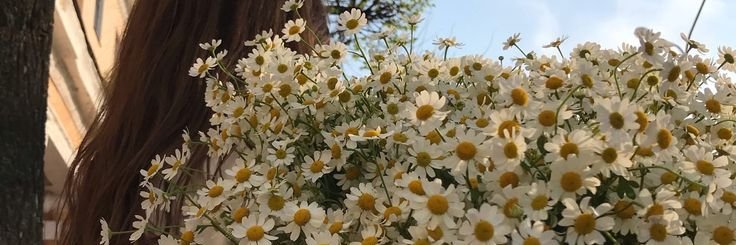 AnlaThuy's profile banner image