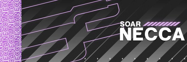 MattNecca Profile Banner