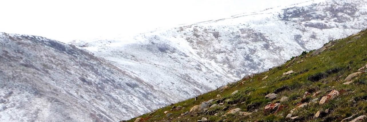 negdels's profile banner image