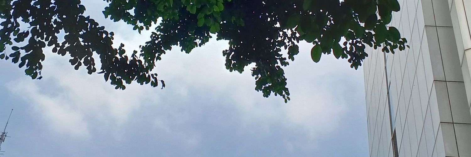 cinmasitha's profile banner image