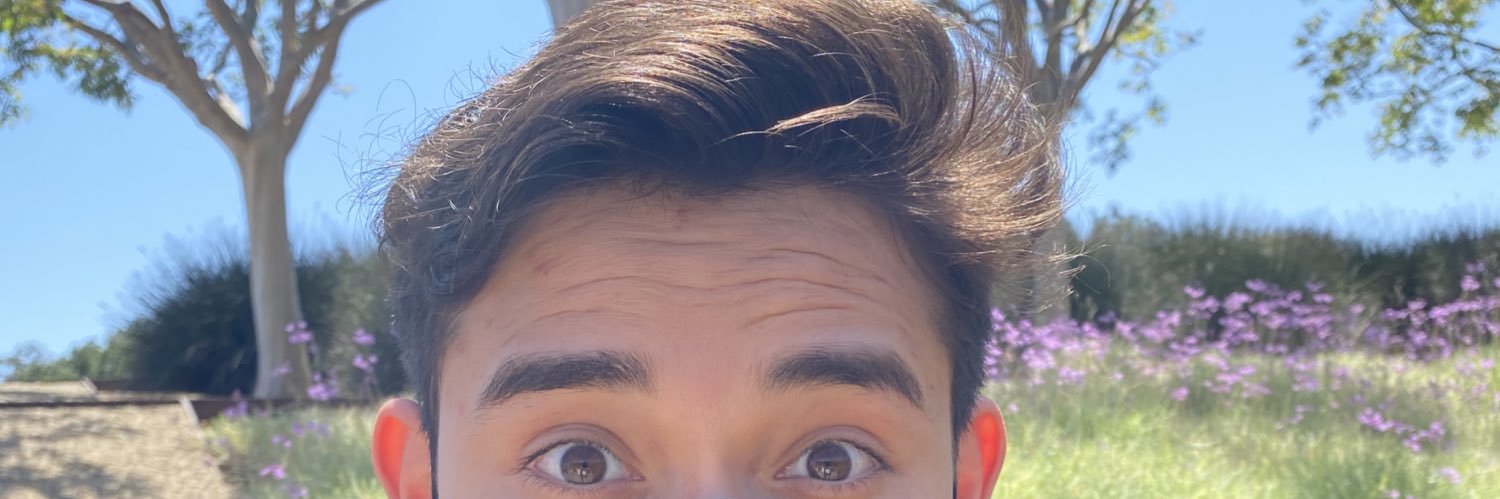 daiiyss's profile banner image