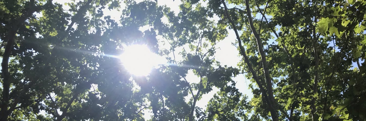 wllthmsn's profile banner image